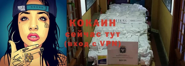 прущие грибы Бронницы