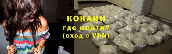 прущие грибы Бронницы