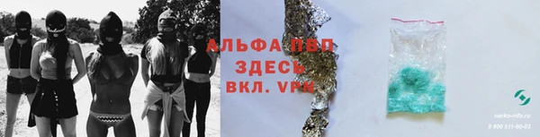 прущие грибы Бронницы