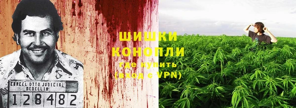 прущие грибы Бронницы