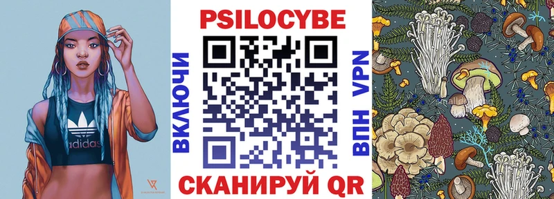 omg онион  Михайловка  Псилоцибиновые грибы Psilocybe 